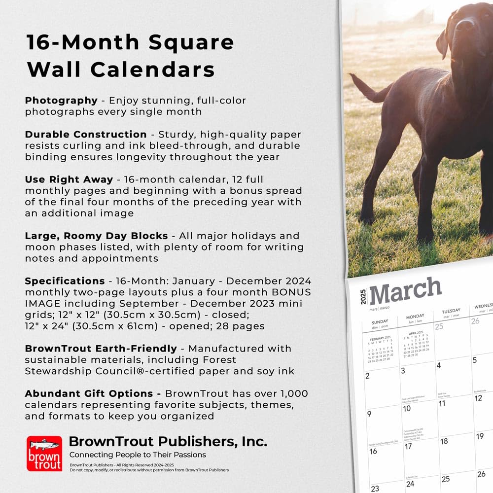 Amazon | 2025年 ブラック・ラブラドール・レトリバー カレンダー